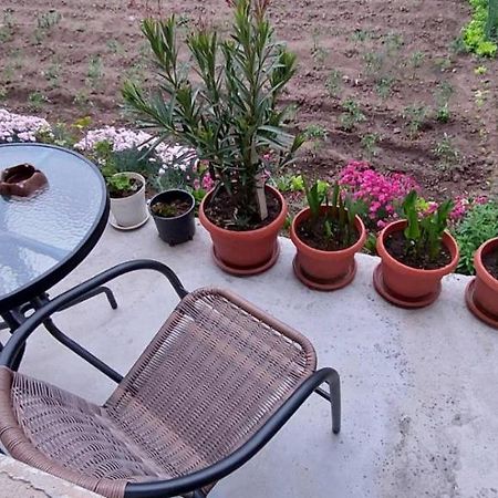 Guest House Kukera Pavel Banya Εξωτερικό φωτογραφία